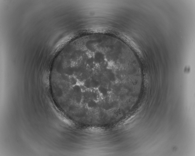 X0000091090537200708131321