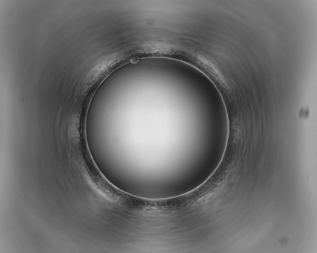 X0000091090538200708131321