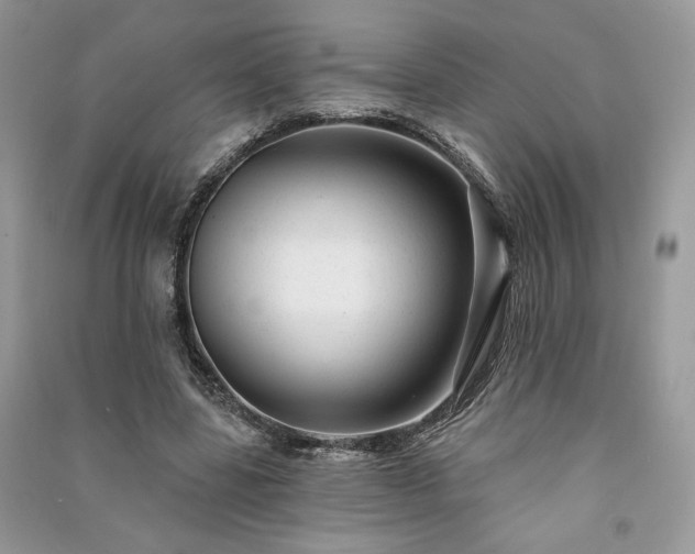 X0000091090539200708131321