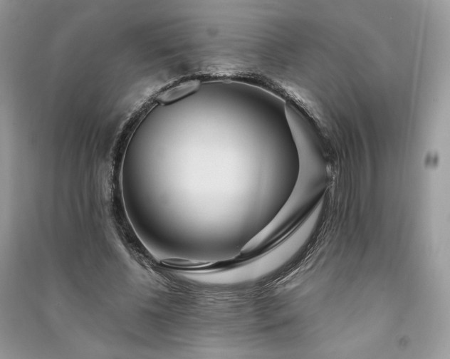 X0000091090540200708131321