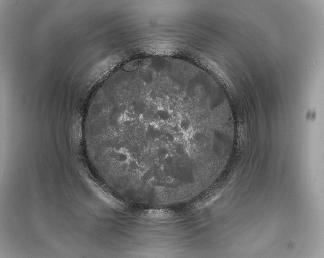 X0000091090541200708131321