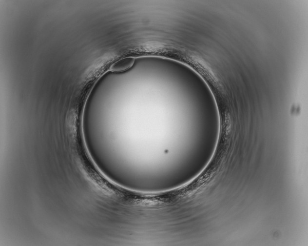 X0000091090542200708131322