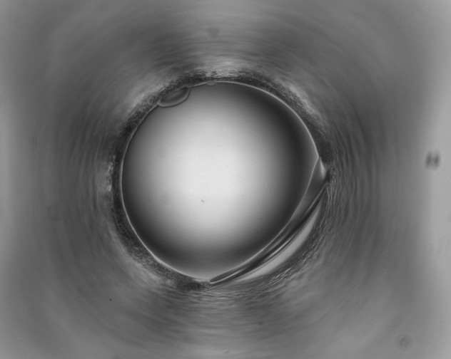 X0000091090543200708131322