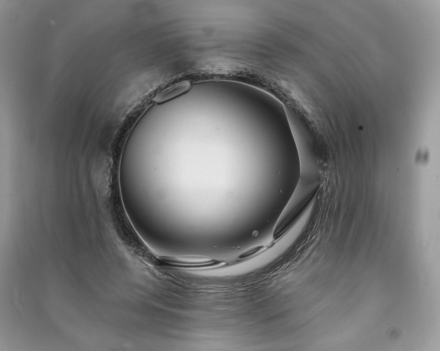 X0000091090544200708131322