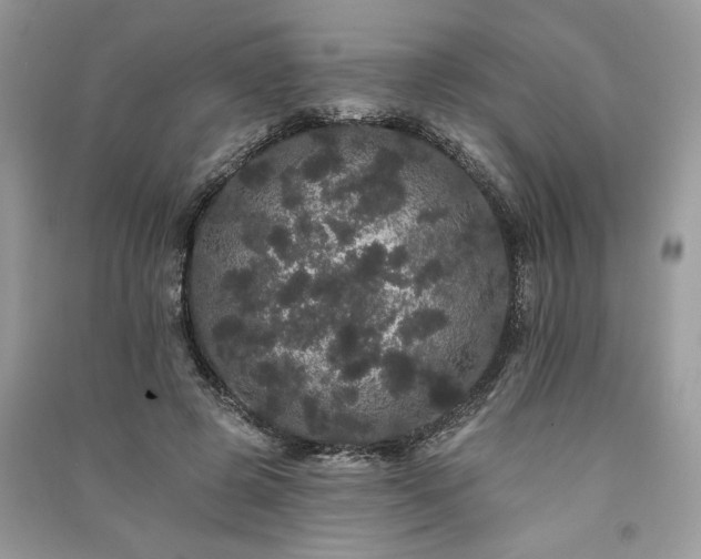 X0000091090545200708131322