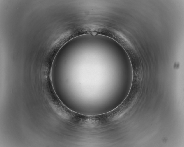 X0000091090546200708131322
