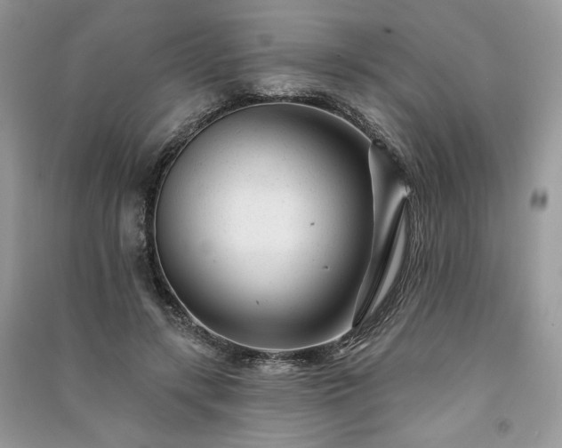 X0000091090547200708131322