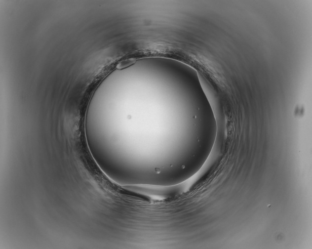 X0000091090548200708131322