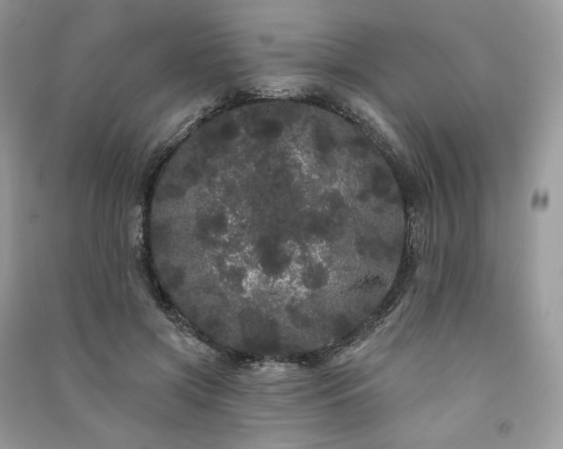 X0000091090549200708131322