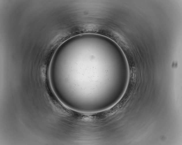 X0000091090550200708131322