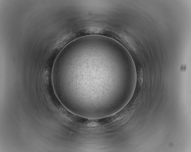 X0000091090551200708131322