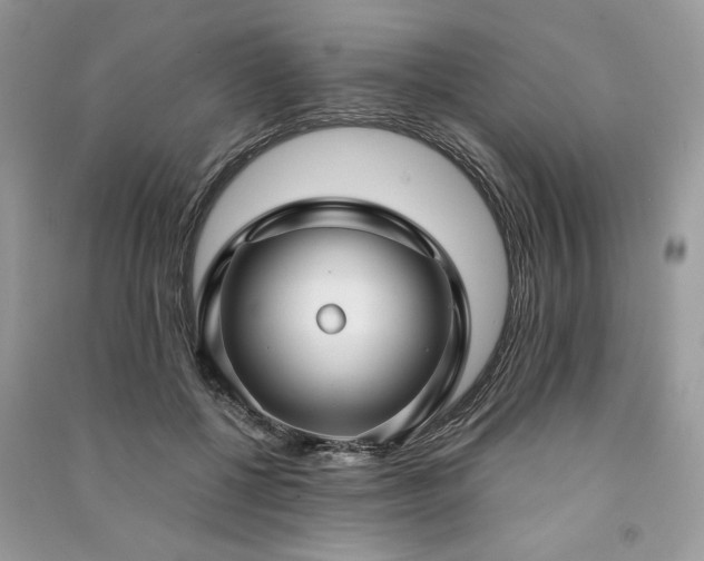 X0000091090552200708131322