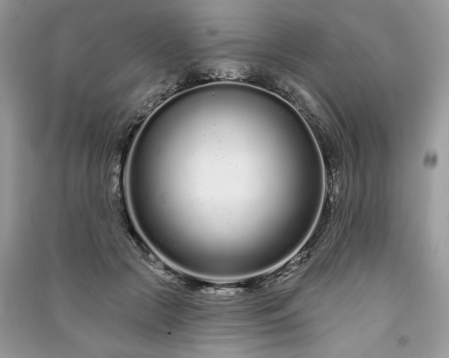 X0000091090553200708131322