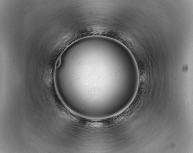 X0000091090554200708131322