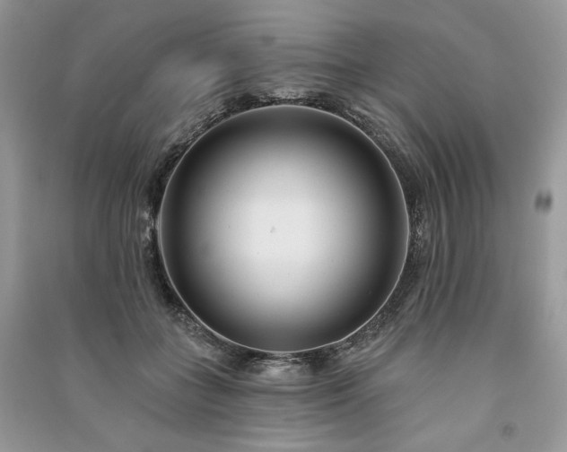 X0000091090555200708131322
