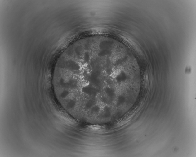 X0000091090557200708131322