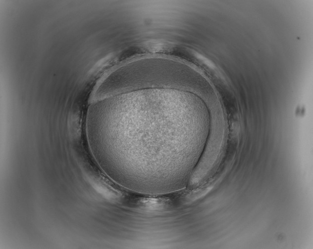 X0000091090558200708131322