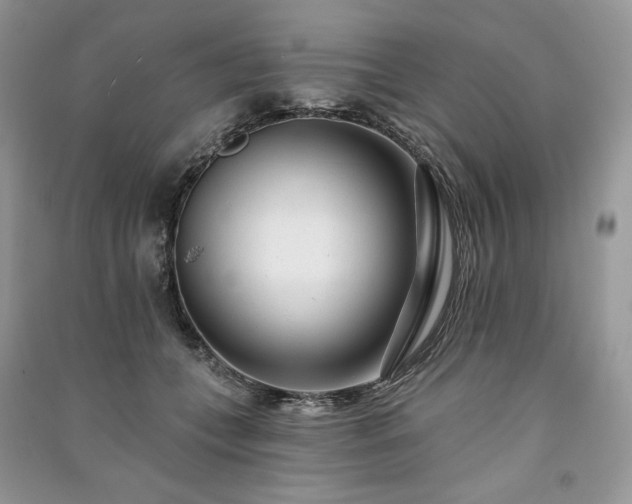 X0000091090559200708131322