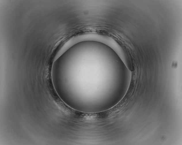 X0000091090560200708131322
