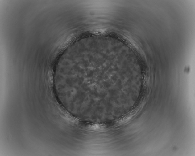 X0000091090561200708131322