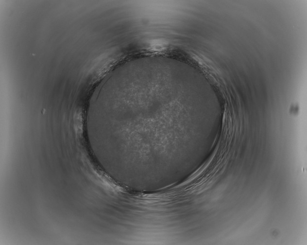 X0000091090562200708131322