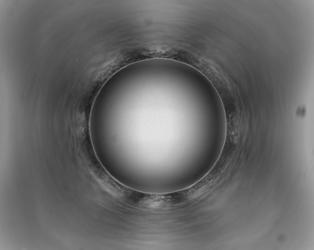X0000091090563200708131322