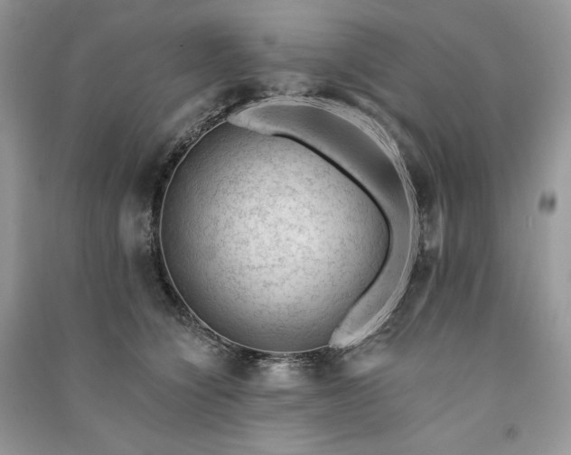 X0000091090564200708131322