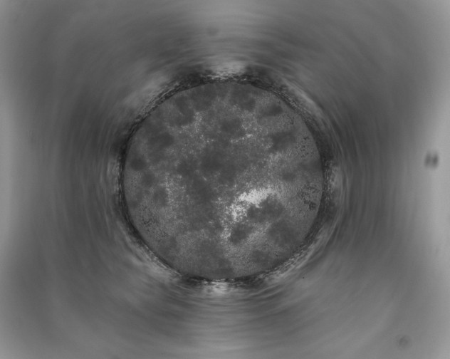 X0000091090565200708131322
