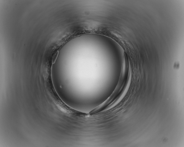 X0000091090566200708131322