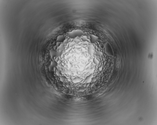 X0000091090569200708131322