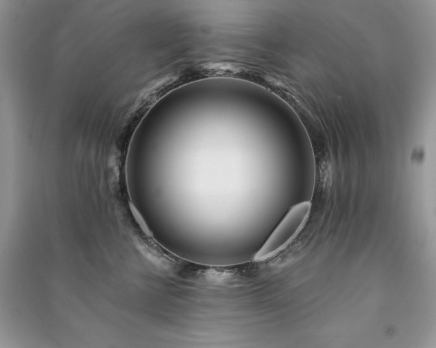 X0000091090570200708131322