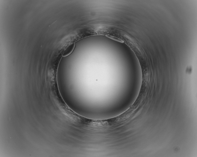 X0000091090571200708131322