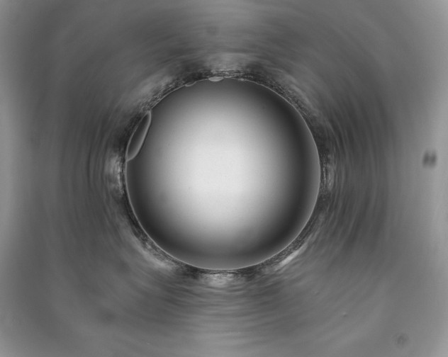 X0000091090575200708131322