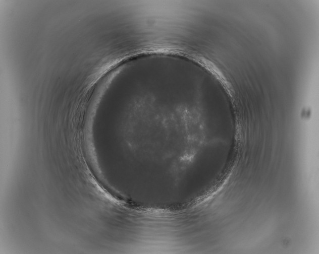 X0000091090577200708131321