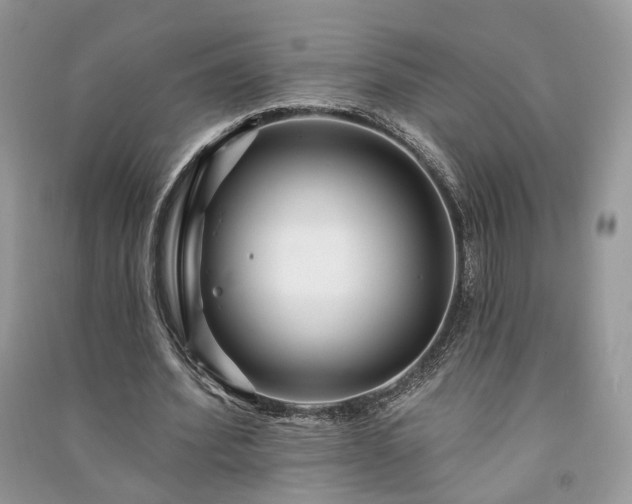 X0000091090580200708131321