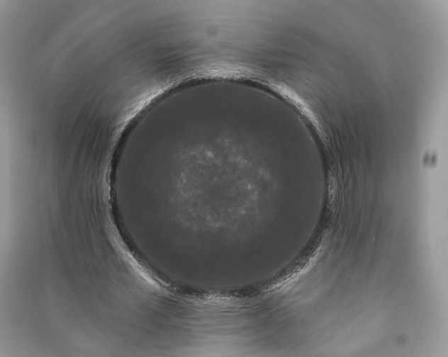 X0000091090581200708131321