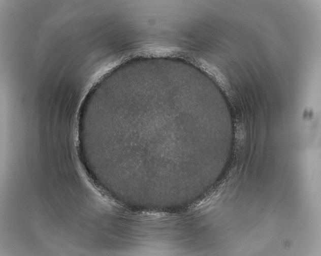 X0000091090582200708131321
