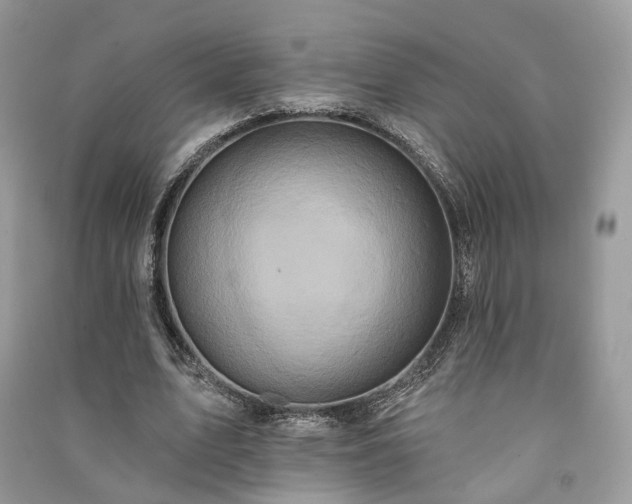 X0000091090583200708131321