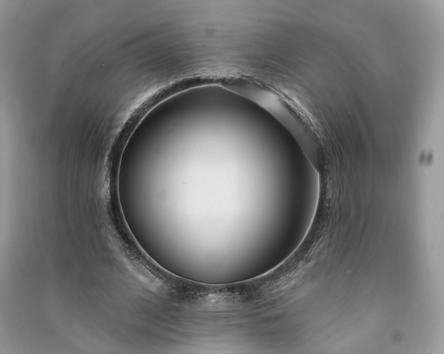 X0000091090584200708131321