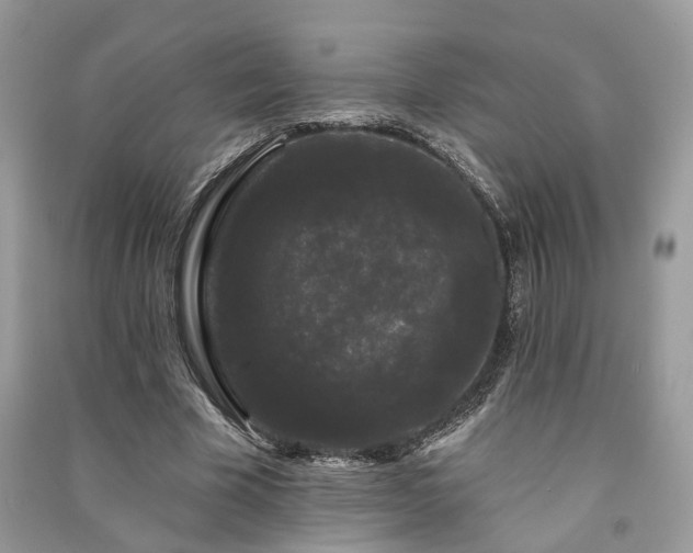 X0000091090585200708131321