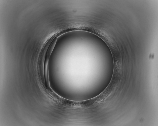 X0000091090587200708131321