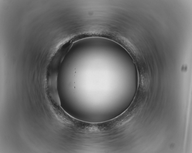 X0000091090588200708131321