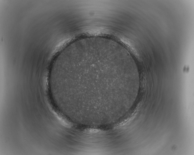 X0000091090590200708131321
