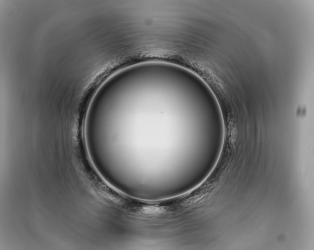 X0000091090591200708131321
