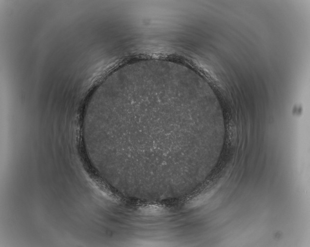 X0000091090594200708131321