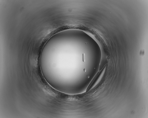 X0000091090596200708131321