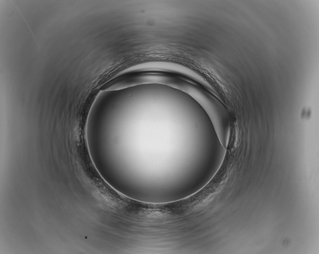 X0000091090597200708131321
