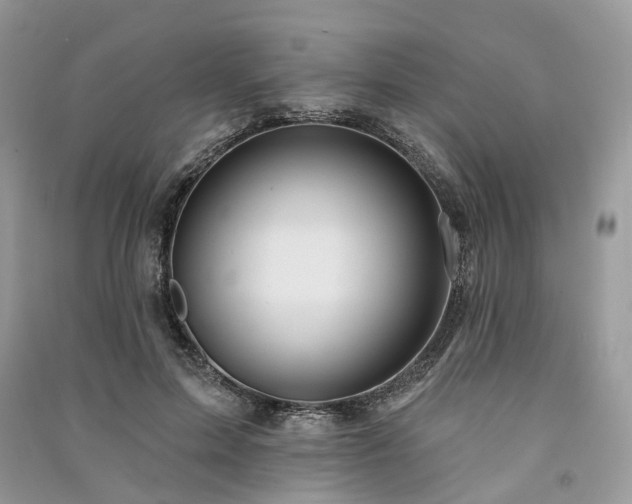 X0000091090599200708131321