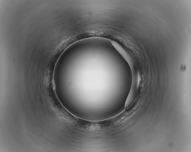 X0000091090600200708131321