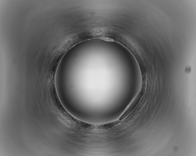 X0000091090601200708131321